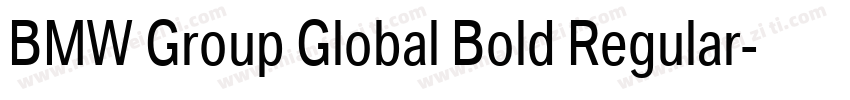 BMW Group Global Bold Regular字体转换